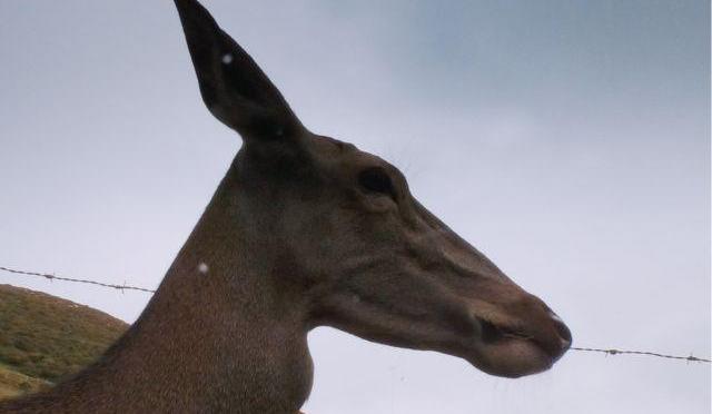 Les Praeres (Iván Menéndez) España