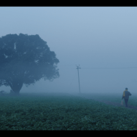 Room at the Farm (Jasmine Kaur Roy, Avinash Roy) India
