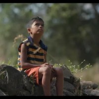 Where do the Trees Go (Mansingh Baskey) India